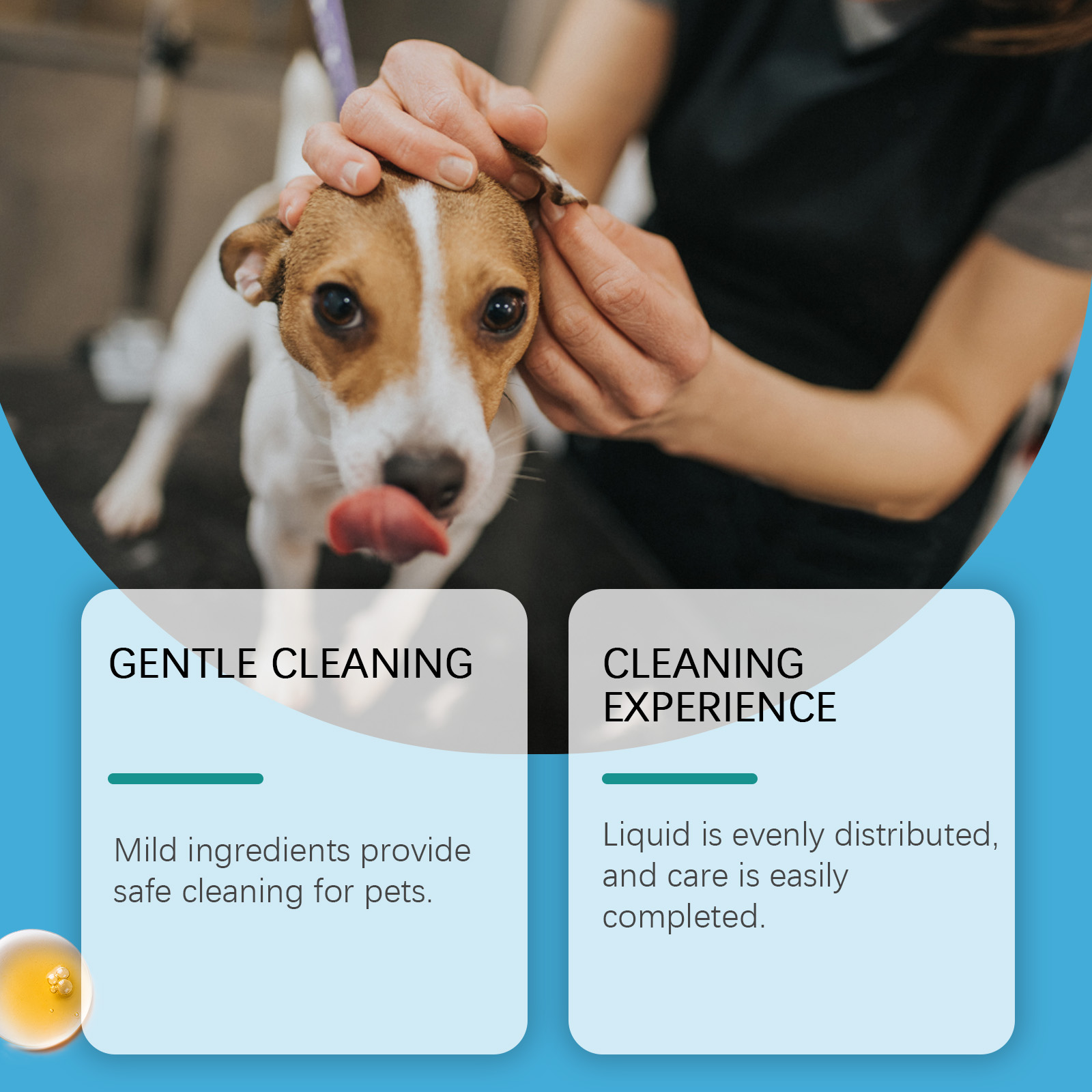 Pet Ear Cleaner For Dogs & Cat - Pet Ear Cleaner 评论和价格