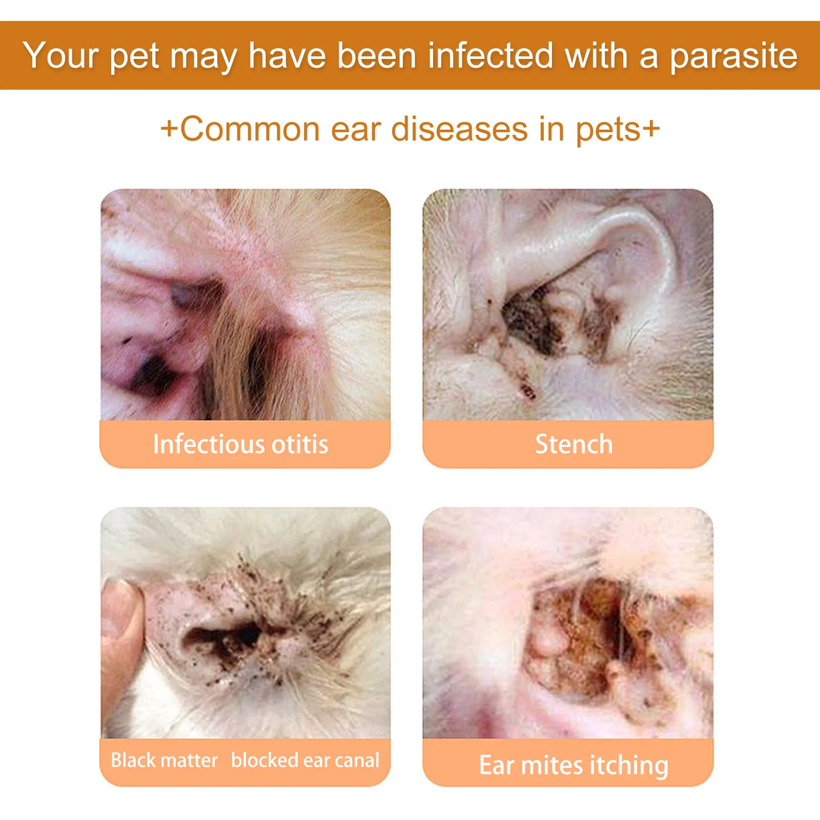 Pets Ear Cleaner Drops Prevent - Pet Ear Cleaner 评论和价格
