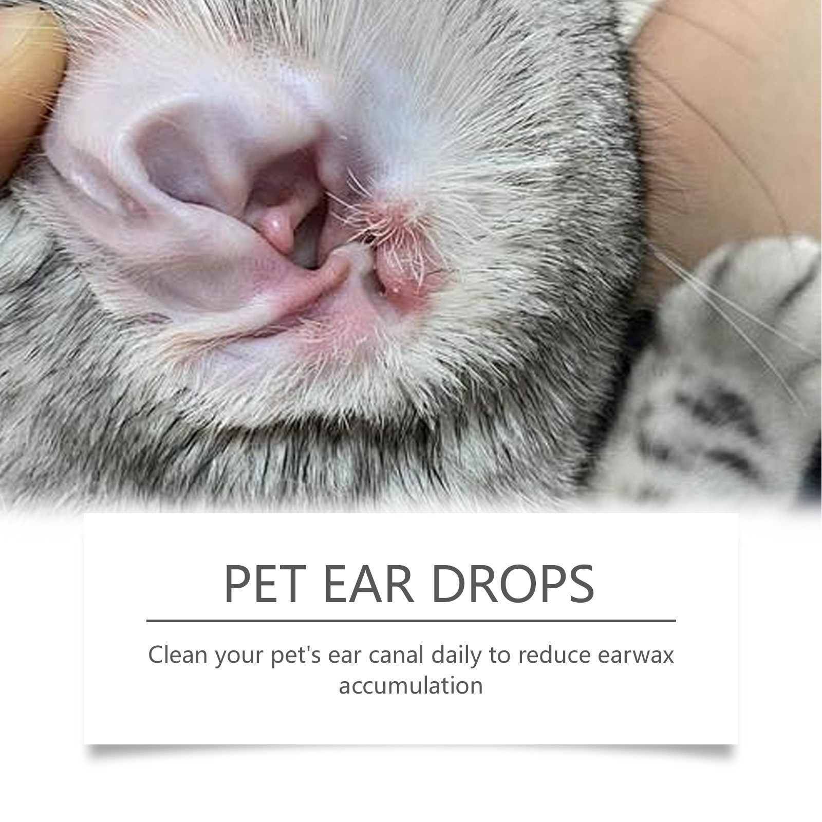 Pet Ear Cleaner Remove Ear Mit - Pet Ear Cleaner 评论和价格