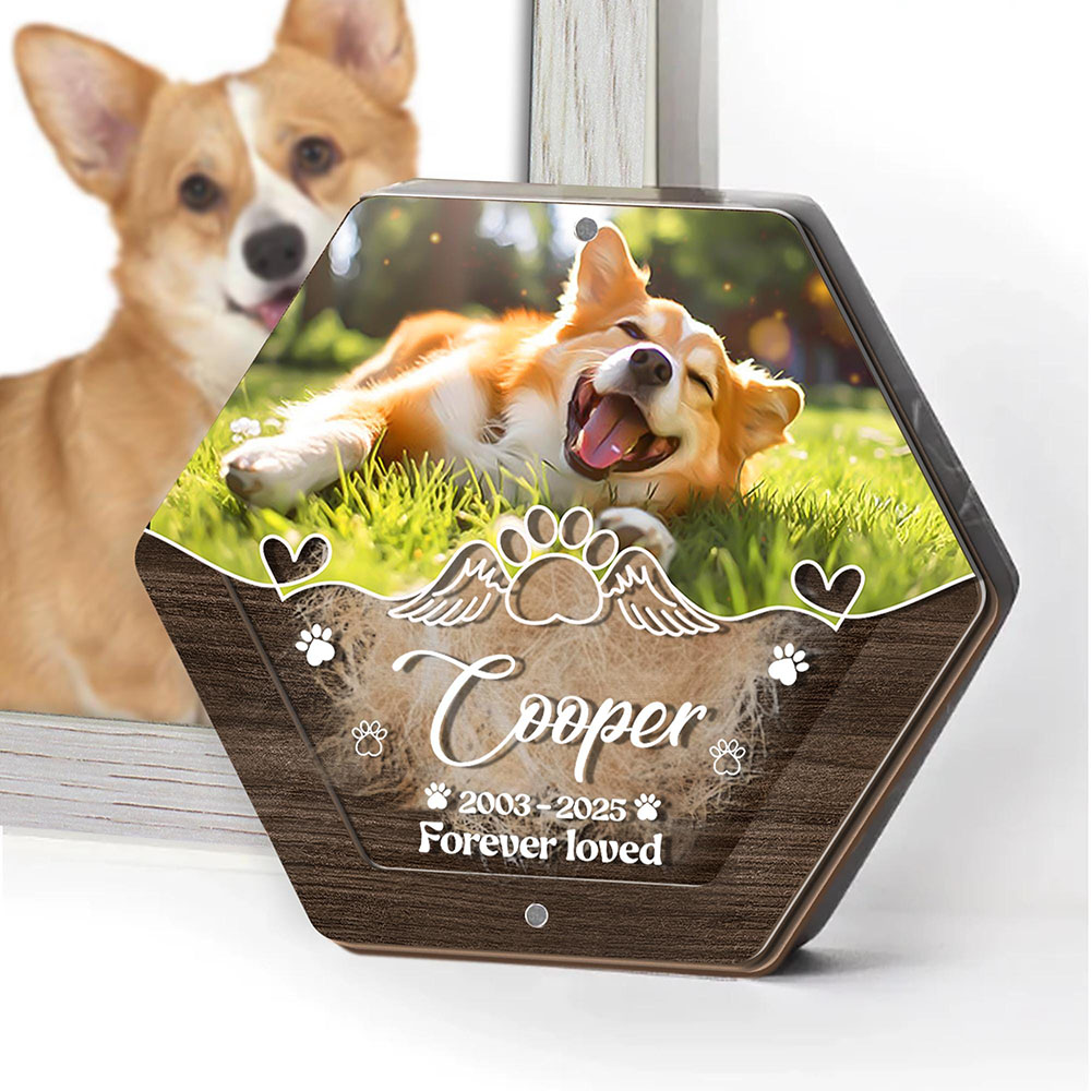 Personalized Name Wooden Carvi - Pet Supplies Vending Machine 评论和价格