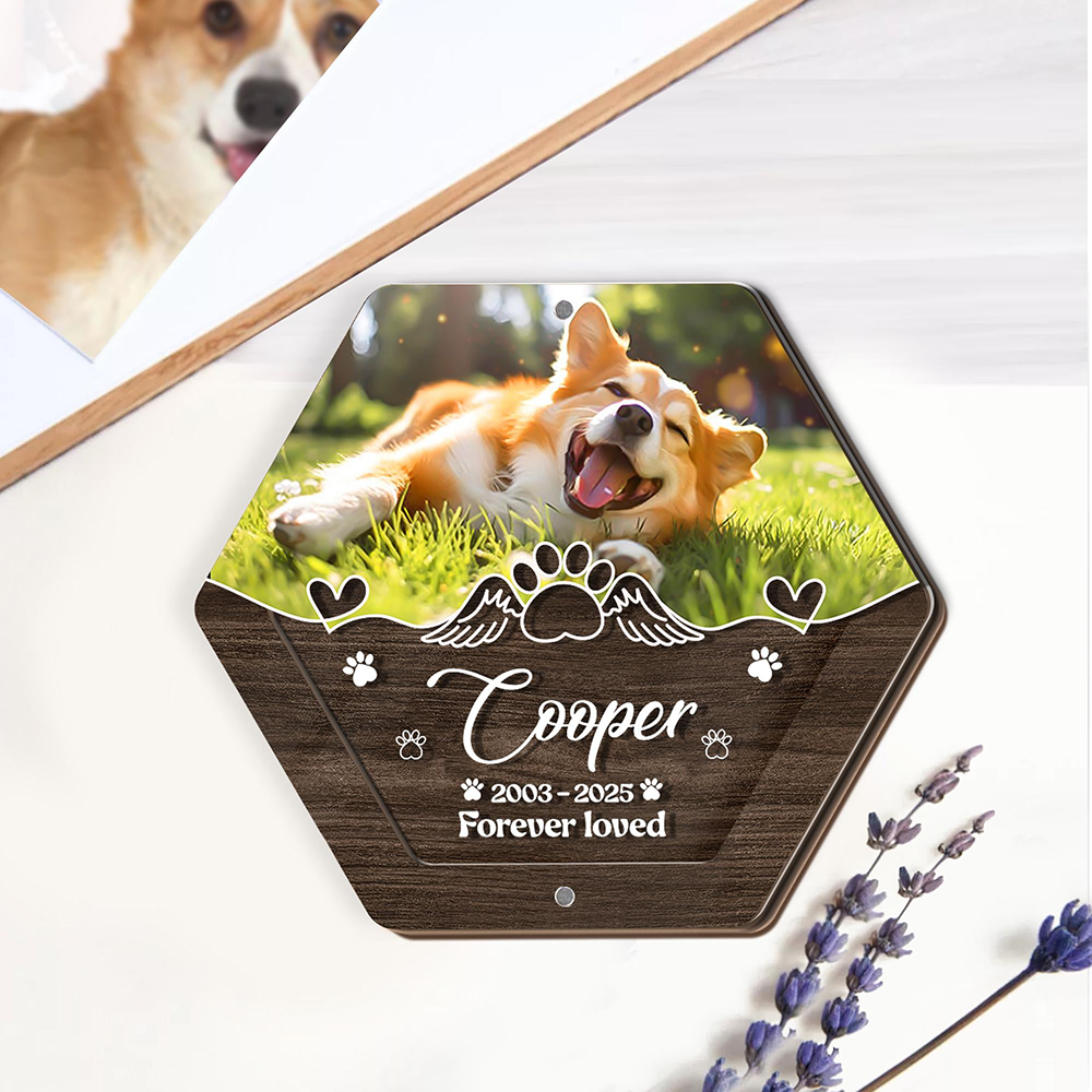 Personalized Name Wooden Carvi - Pet Supplies Vending Machine 评论和价格
