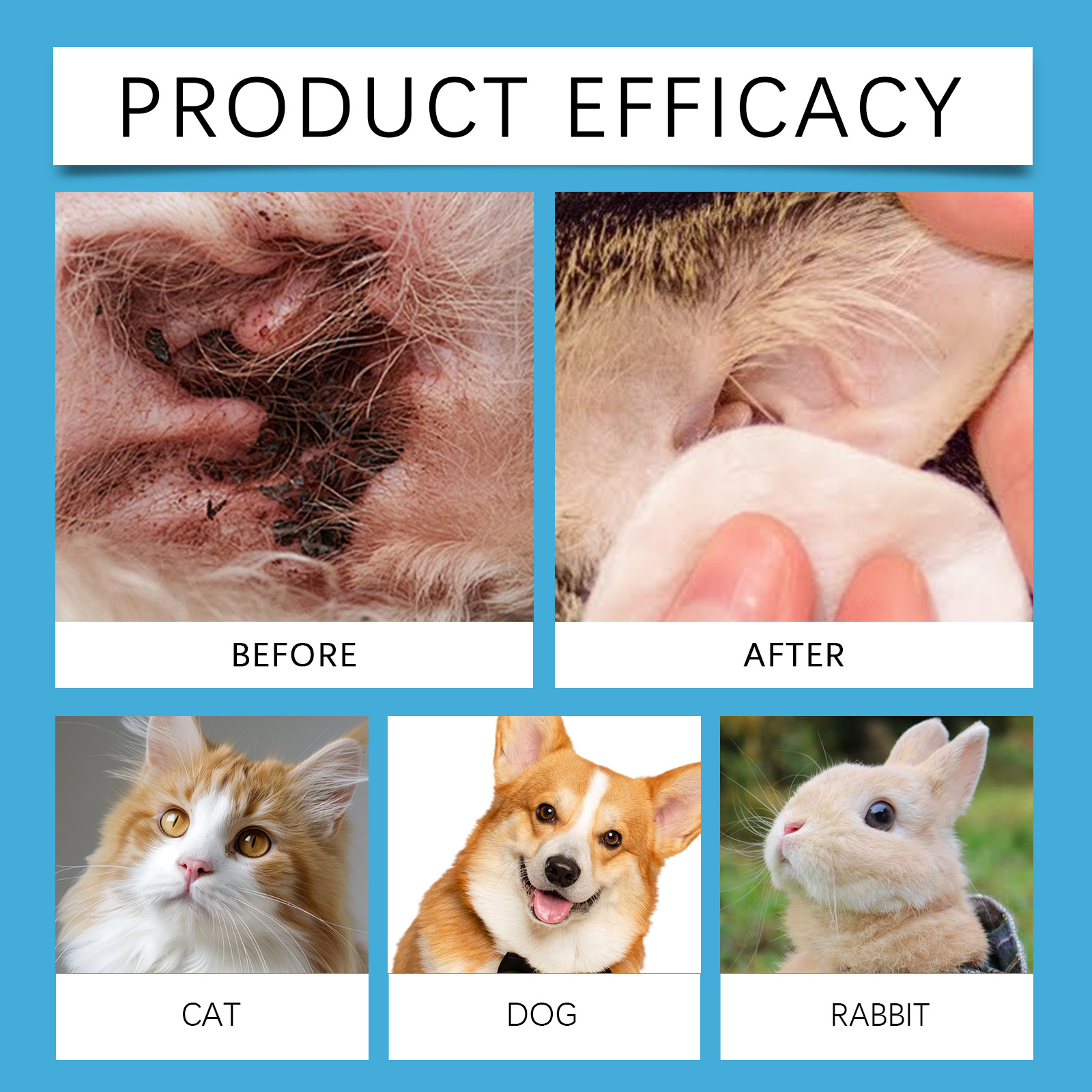 Pet Ear Cleaner Cat Dog Ear Cl - Pet Ear Cleaner 评论和价格