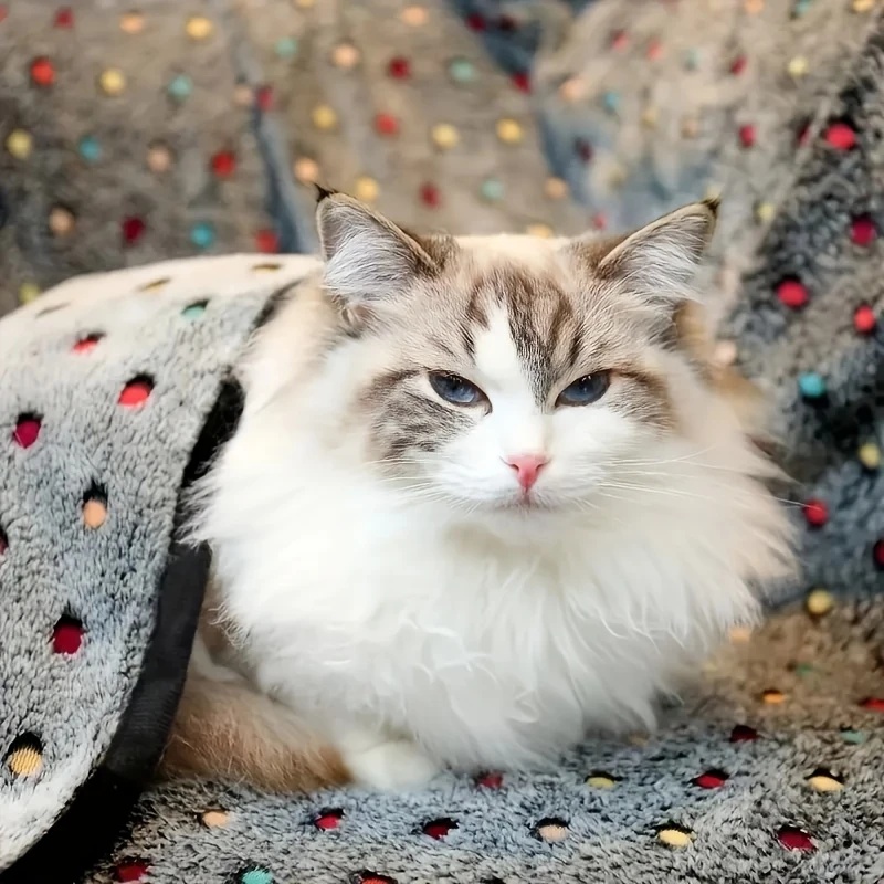 3PCS Soft Fluffy Pet Blanket C - Pet Supplies Vending Machine 评论和价格